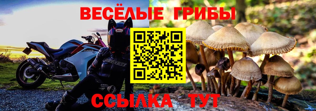 Рузаевка  Псилоцибиновые грибы ЛСД  Вход с VPN 